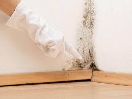 Mold Documentation for Insurance Claims in Kiawah Island, SC